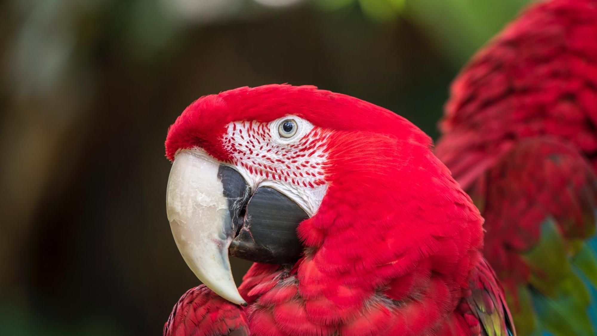 プエルト・マルドナード Casa Amazonasヴィラ エクステリア 写真